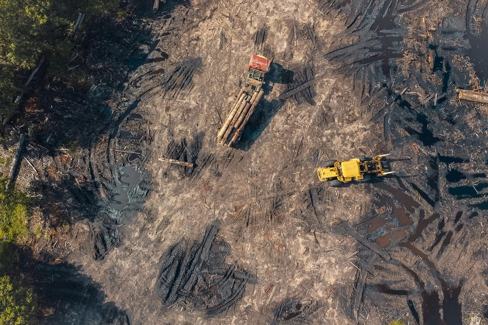 étude d'impact sur l'environnement