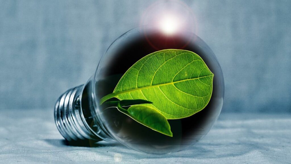 étude d'impact environnement