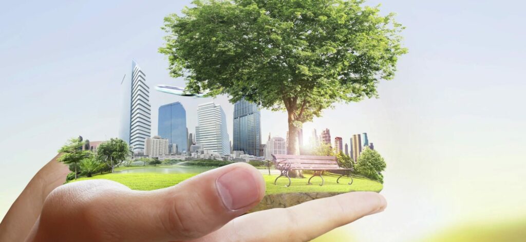 étude d'impact environnementale